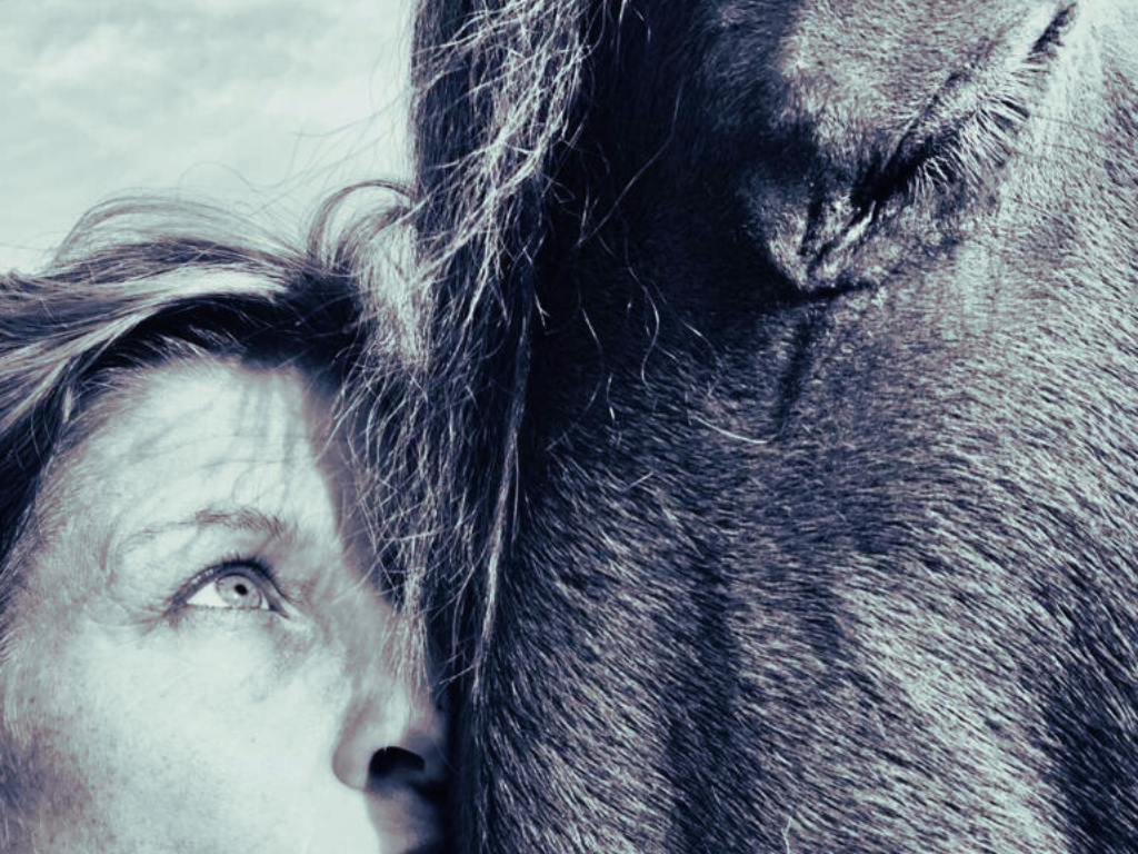 paard en ruiter verbinding